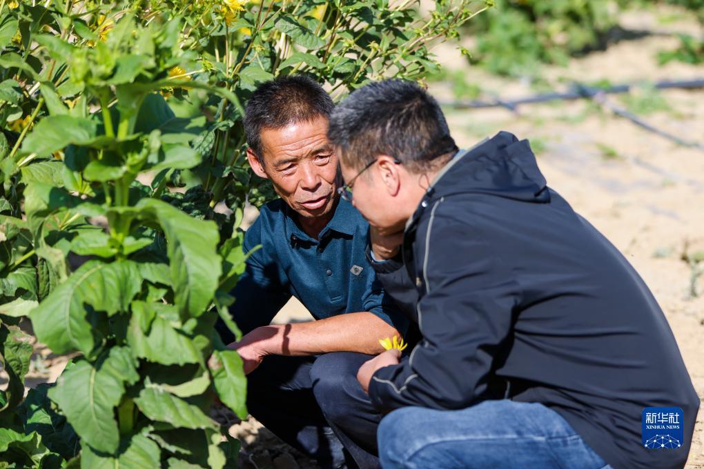 澳门新匍京网址推荐